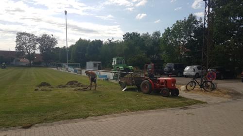 sportplatzarbeiten 3